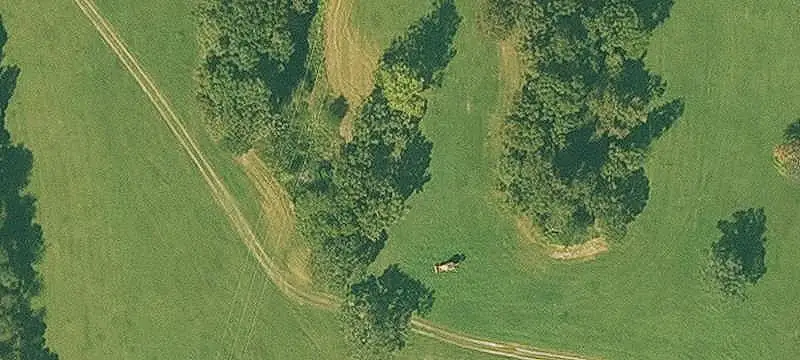 Agricultural Land