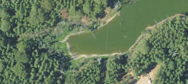 Commercial Land