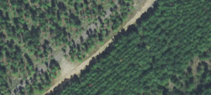 Unrestricted Land with Wooded Areas