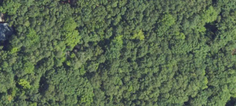 Wooded Recreation Land with Structure