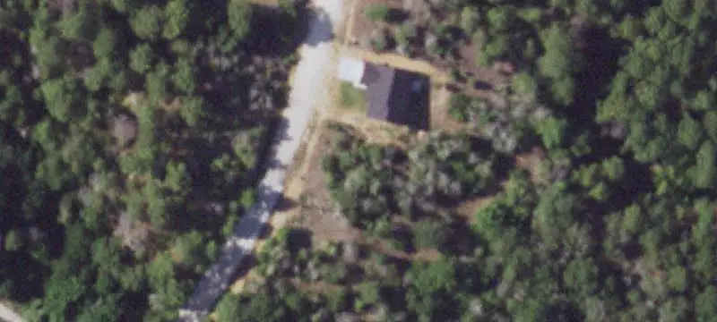 Wooded Land