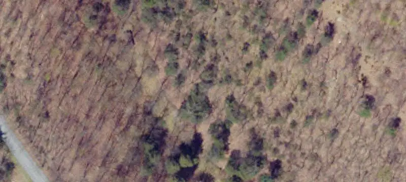Unimproved Land