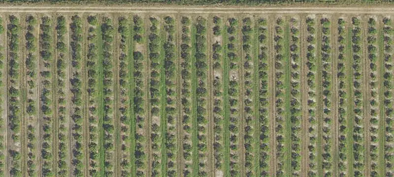 Farmland with Greenhouses