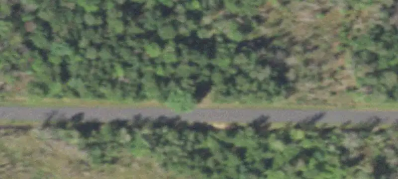 Wooded Hunting Land
