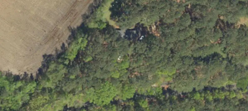 Agricultural Farm with Irrigation Pond