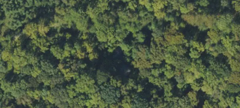 Commercial Land