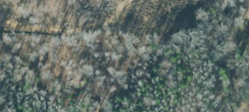 Commercial Land