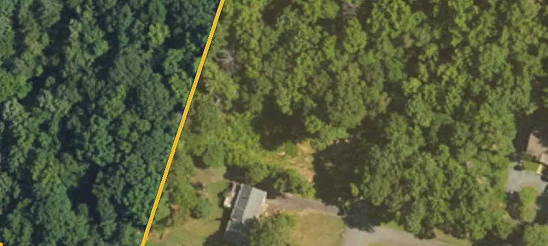 Land or Vacant Lot