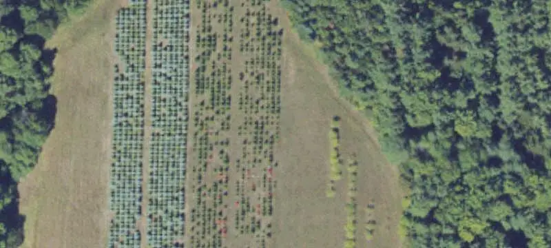 Wooded Land with Two-Track Access