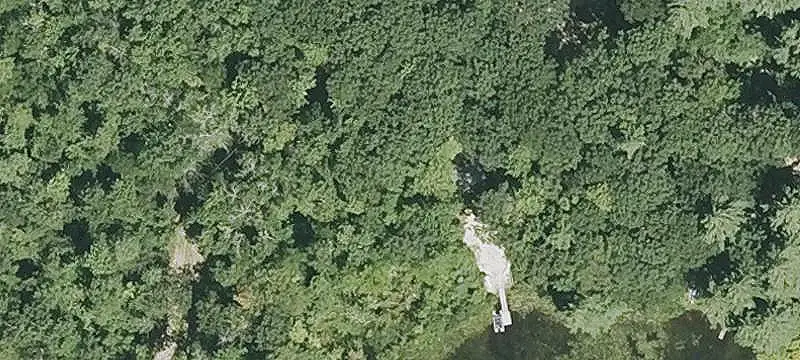 Wooded Recreational Land with Pond Access