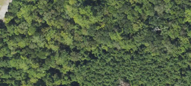 Hunting Land with Creek Frontage