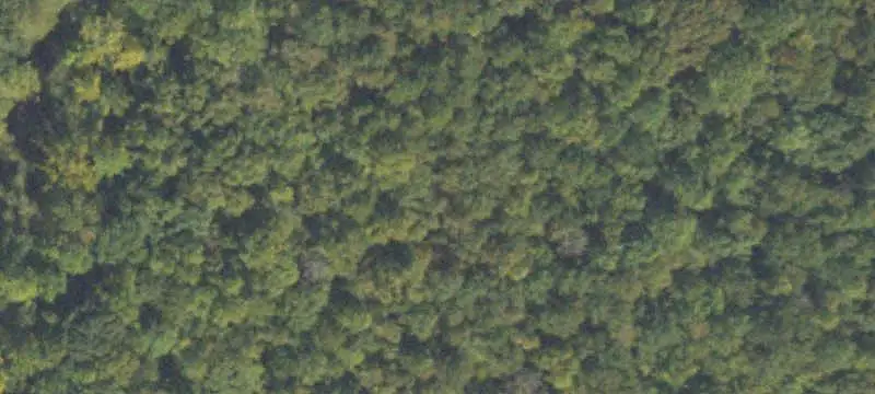Unimproved Land