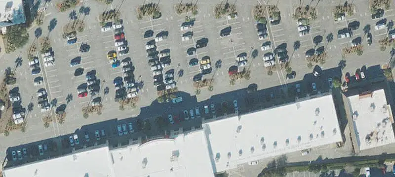 Pet Supply Retail Space