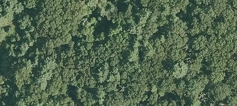 39-Acre Land Parcel