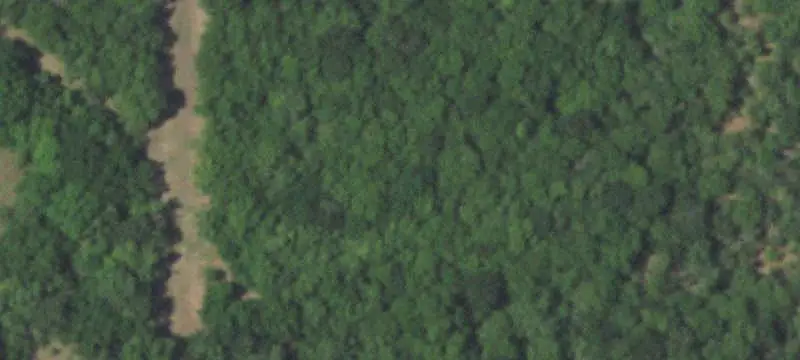 Land with Pond
