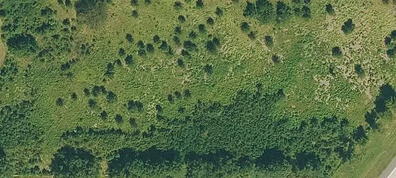 Commercial Land