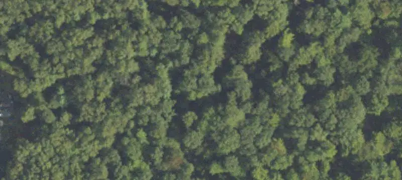 Residential Land