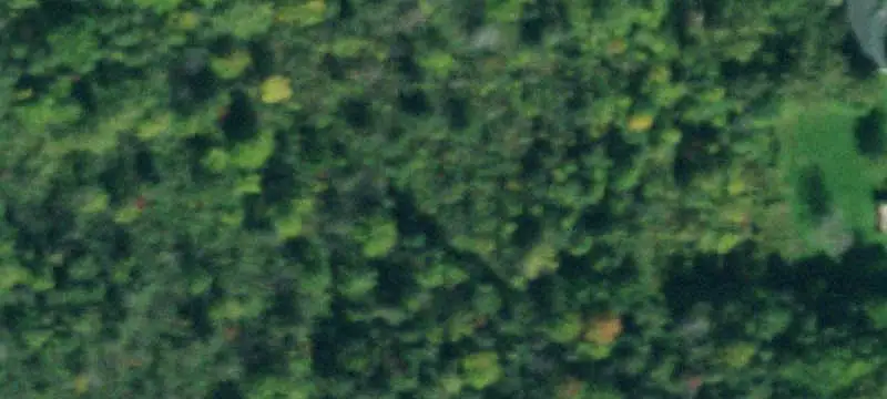 Commercial Land