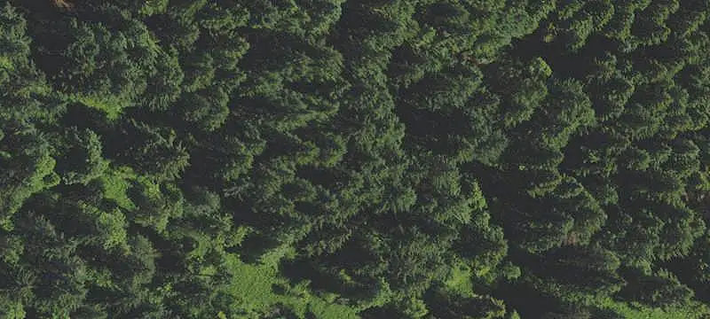 Timberland Tract