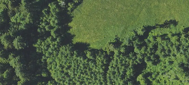 Forest and Farm Acreage