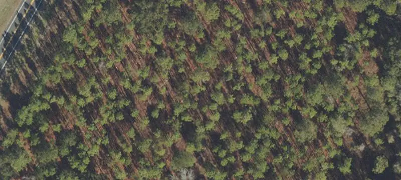 Commercial Land