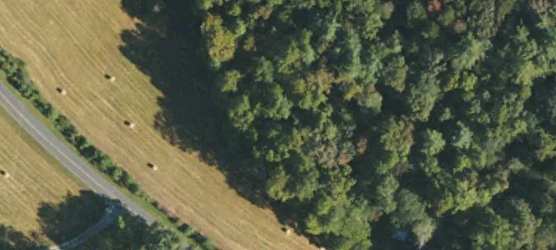 Land or Vacant Lot