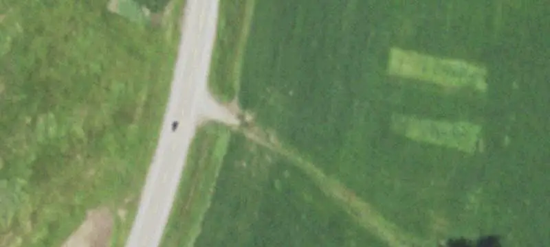 Agricultural Land