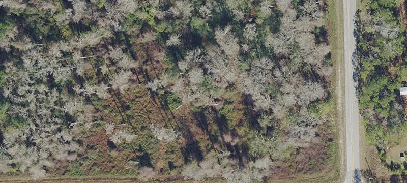 5014 MAHOGANY Blvd, Bunnell, FL 32110