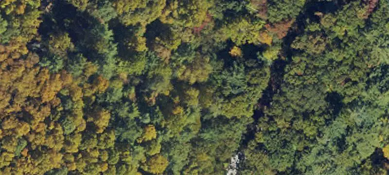 Land/Lot