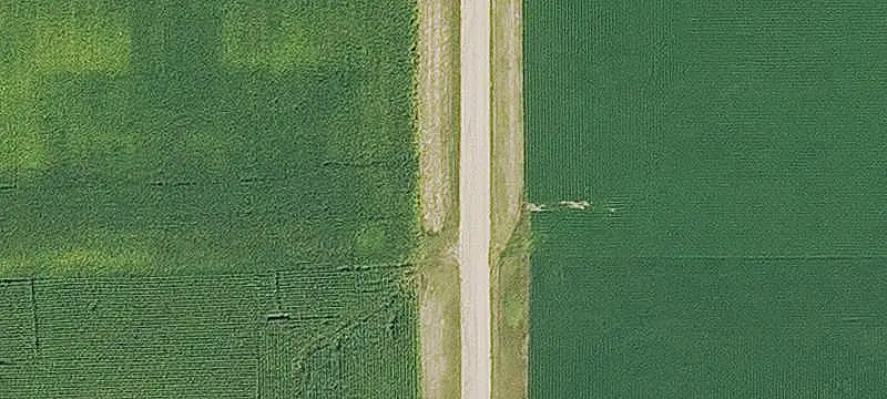 Productive Farmland