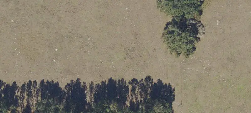 Agricultural Land with Pond