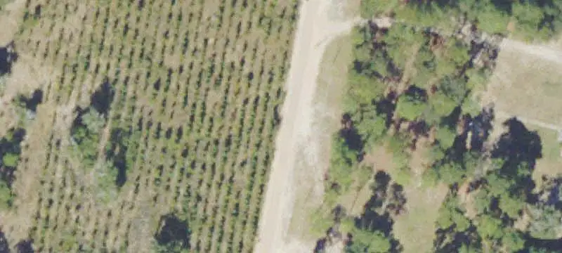 Land with Road Frontage