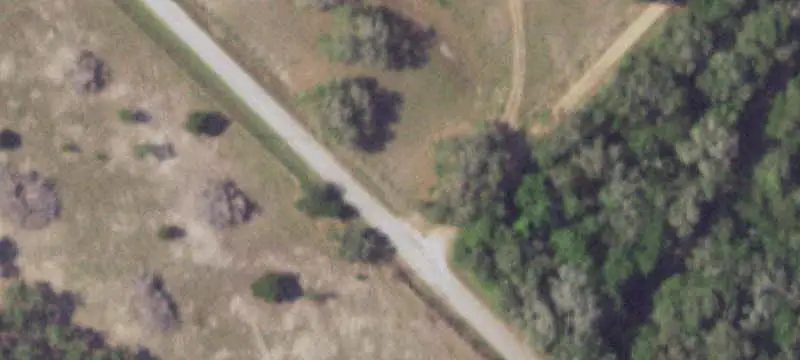 Ranch with Mature Live Oaks