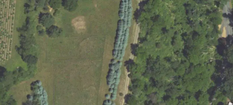 Acreage Property with Multiple Dwellings