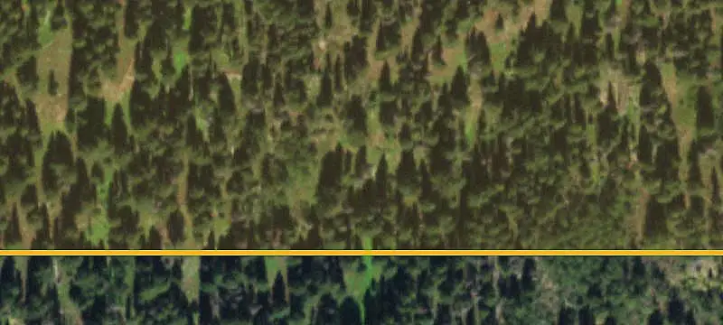 Land/Lot
