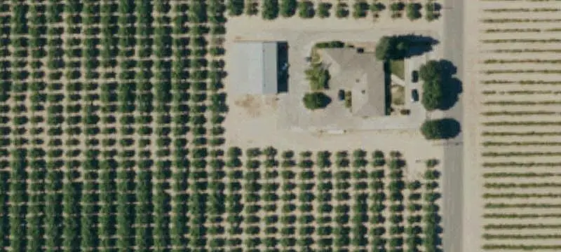 Vineyard with Metal Shop