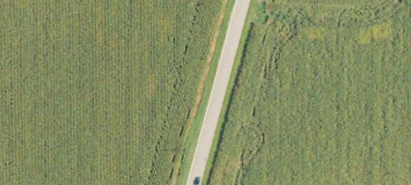 Agricultural Land
