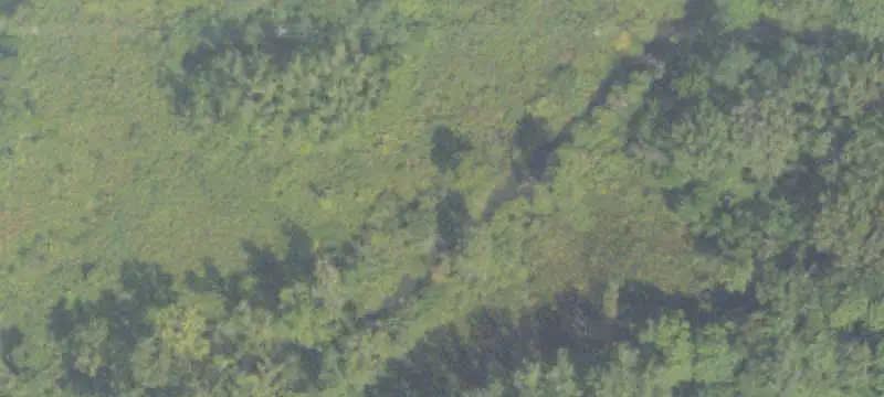 Commercial Land