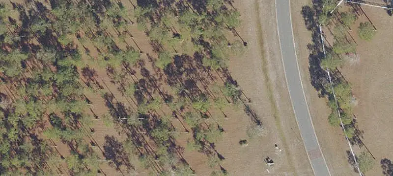 Land