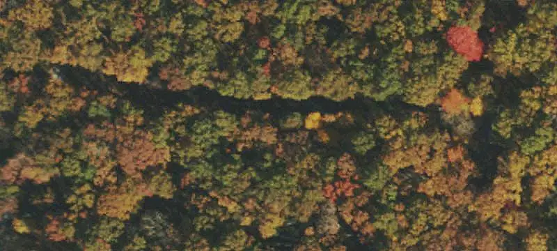 Commercial Land