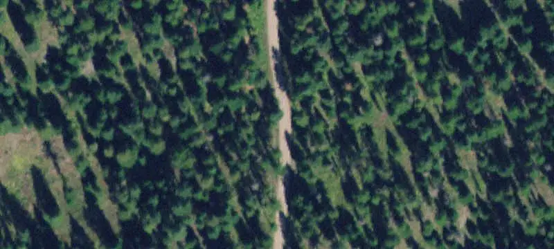 Land/Property