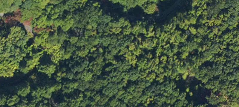 Land/Lot