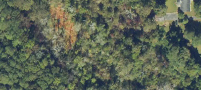Unimproved Land