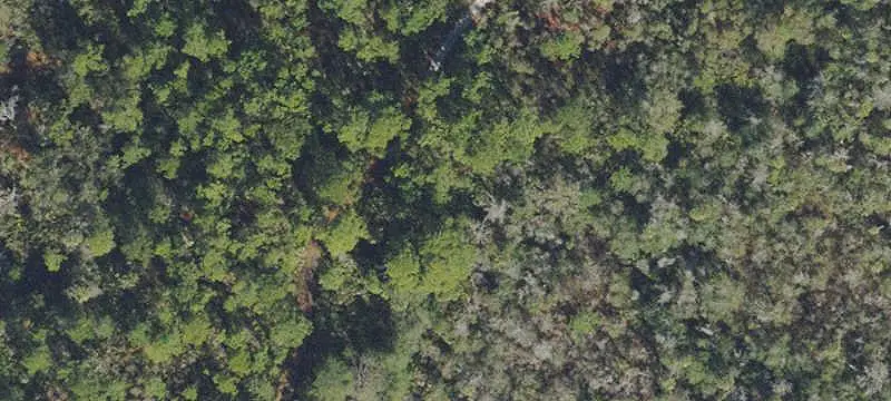 Natural Wetlands Land Parcel