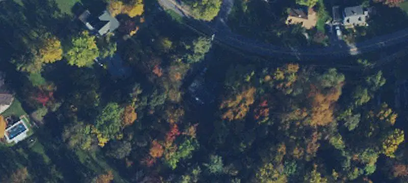 Wooded Mountain Land