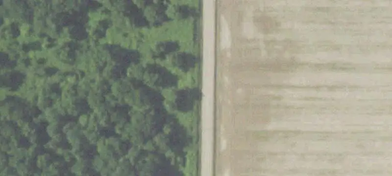 Farmland with Residence