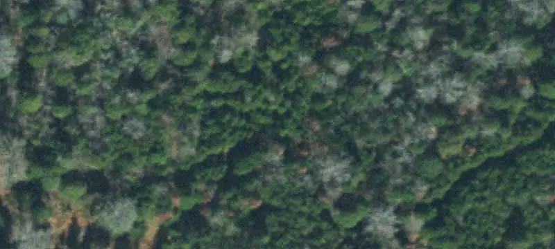 Farm