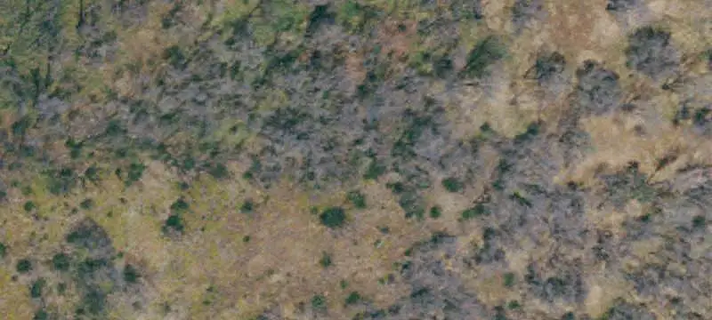 Land