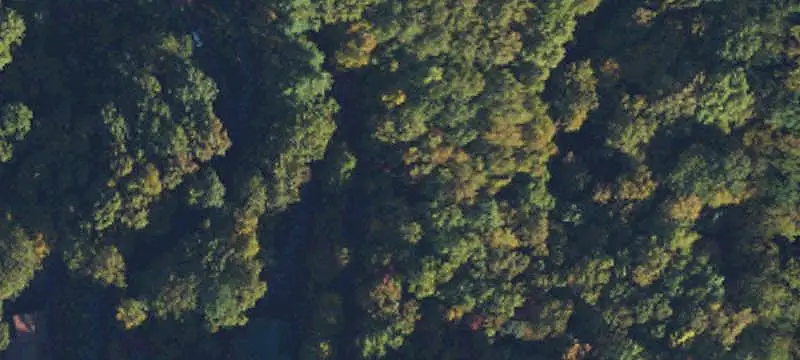 Commercial Land