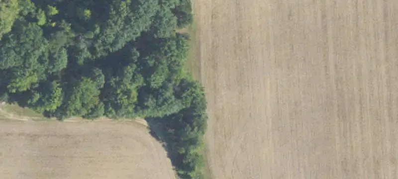Farmland